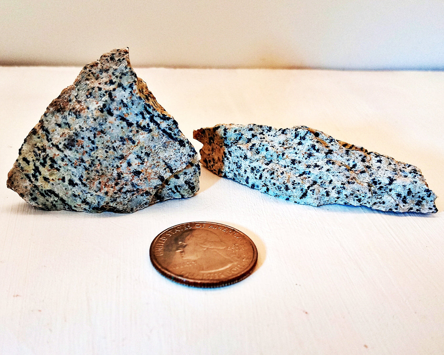 Dalmatian Jasper raw Crystals! Choose from two (2) sizes of quality, all-natural, rough Dalmatian Jasper! The Dalmatian Stone.