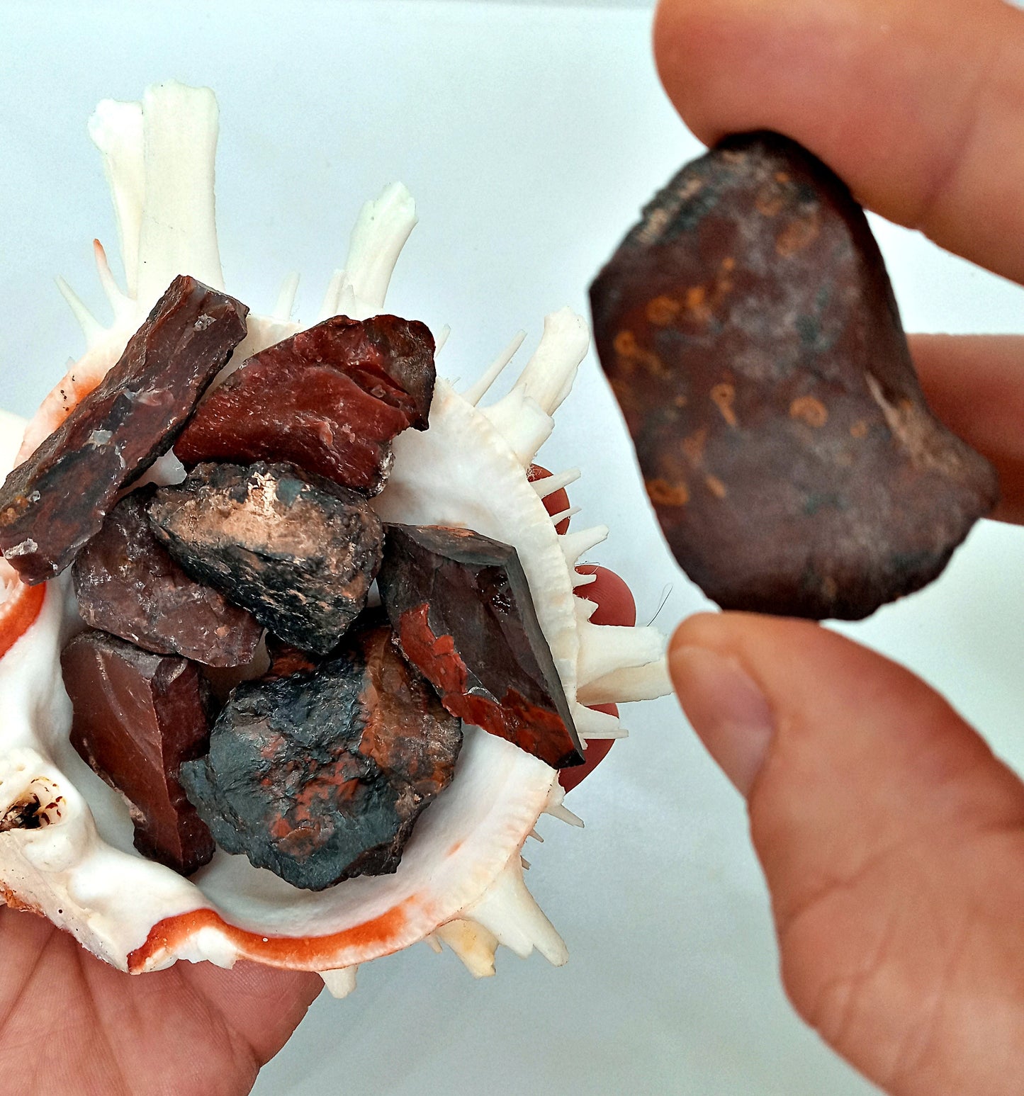 RARE!! Vampire Jasper! Choose from two (2) sizes of quality, all-natural, raw, Vampire aka Yellow Cat Flat Jasper!