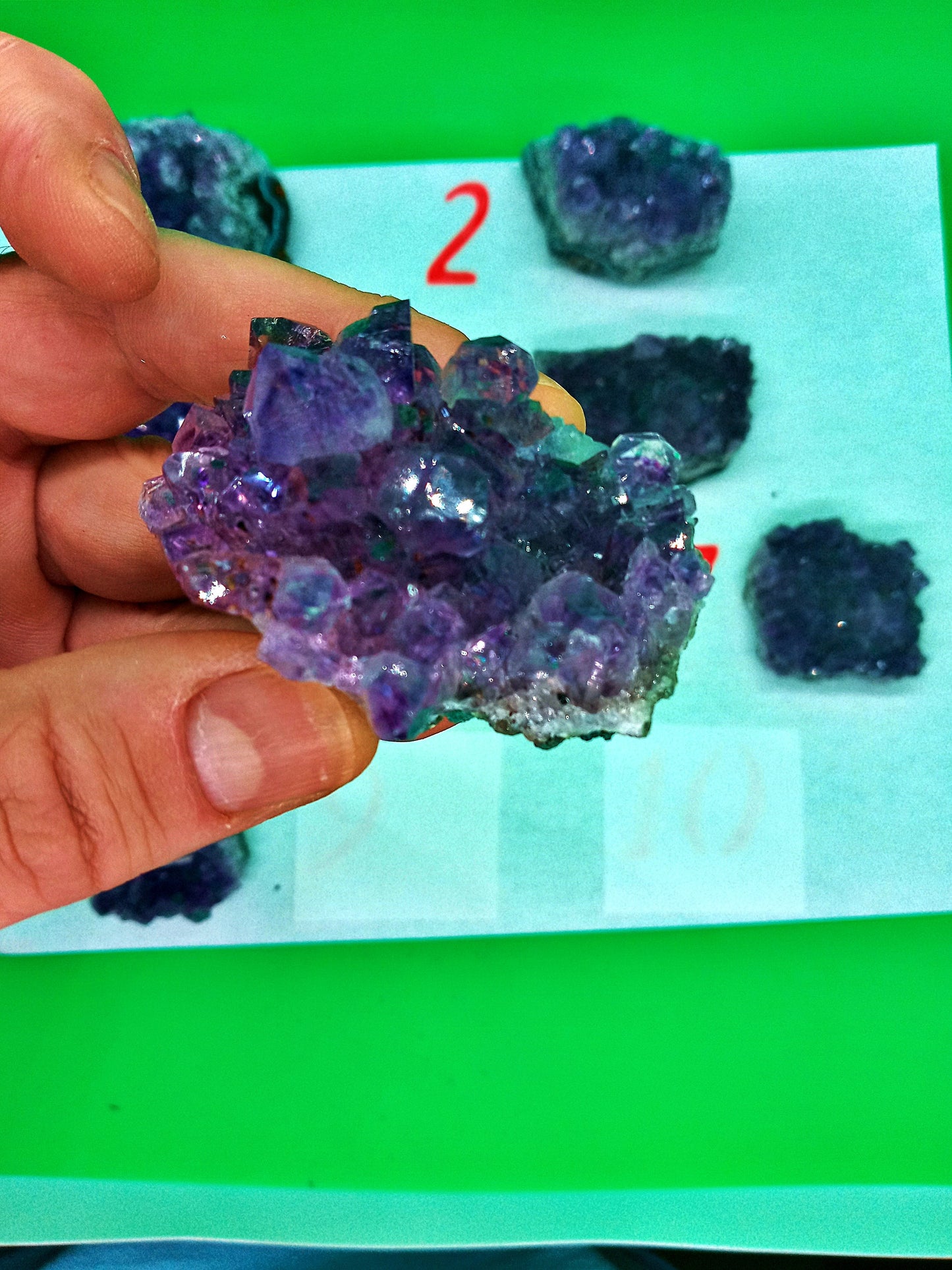 A-Grade Amethyst Clusters! Choose Your Own from eight (8) Beautiful High-Quality Clusters! Amethyst Geodes, Points, Druze, Druzy