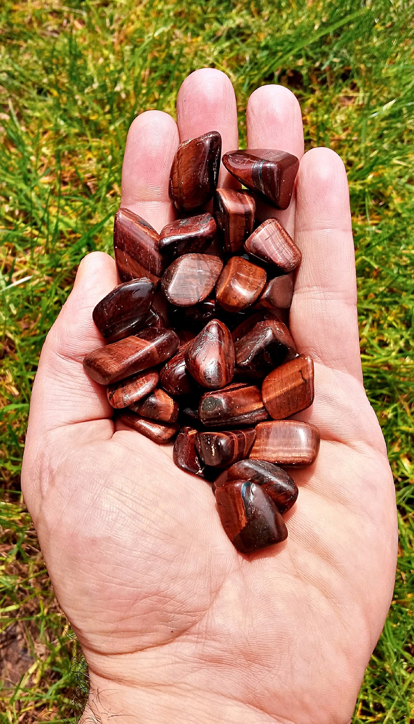Bulk Red Tiger Eye Crystals! Choose how Many Tumbled Dragon Eye! Quality polished Tigers Eye stones and crystals. Dragons Eye!