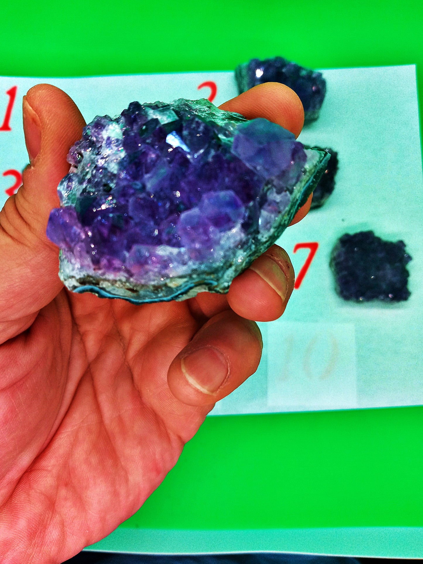A-Grade Amethyst Clusters!  Choose Your Own from eight (8) Beautiful High-Quality Clusters!  Amethyst Geodes, Points, Druze, Druzy