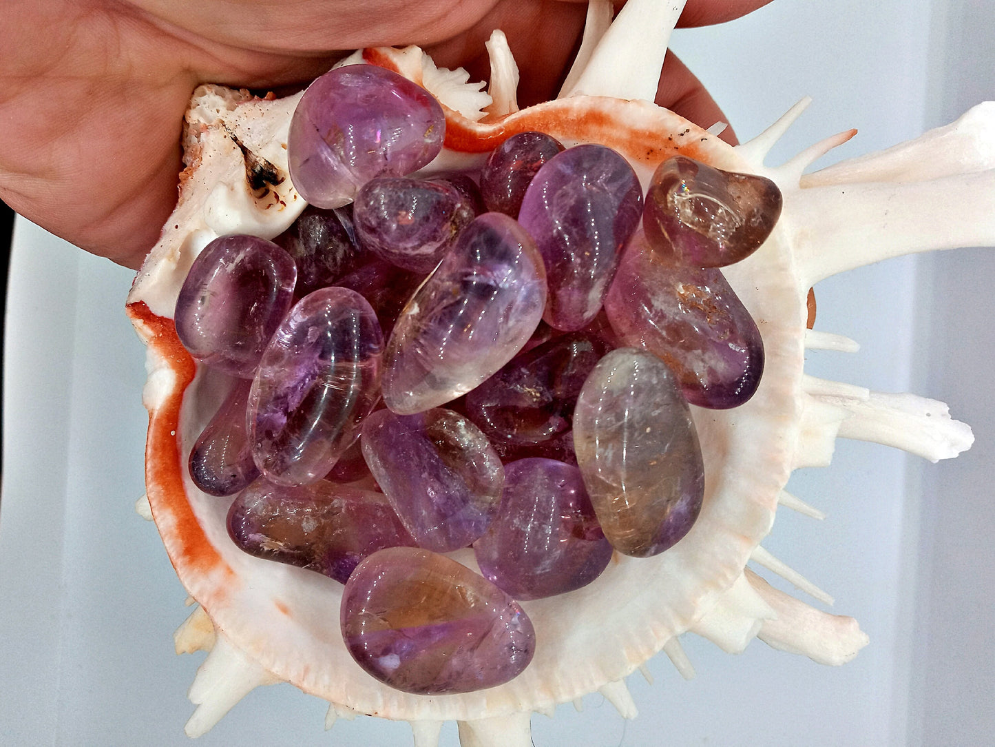 Bulk AA-Grade Ametrine! Choose How Many tumbled crystals and stones!  Amethyst + Citrine = Ametrine!