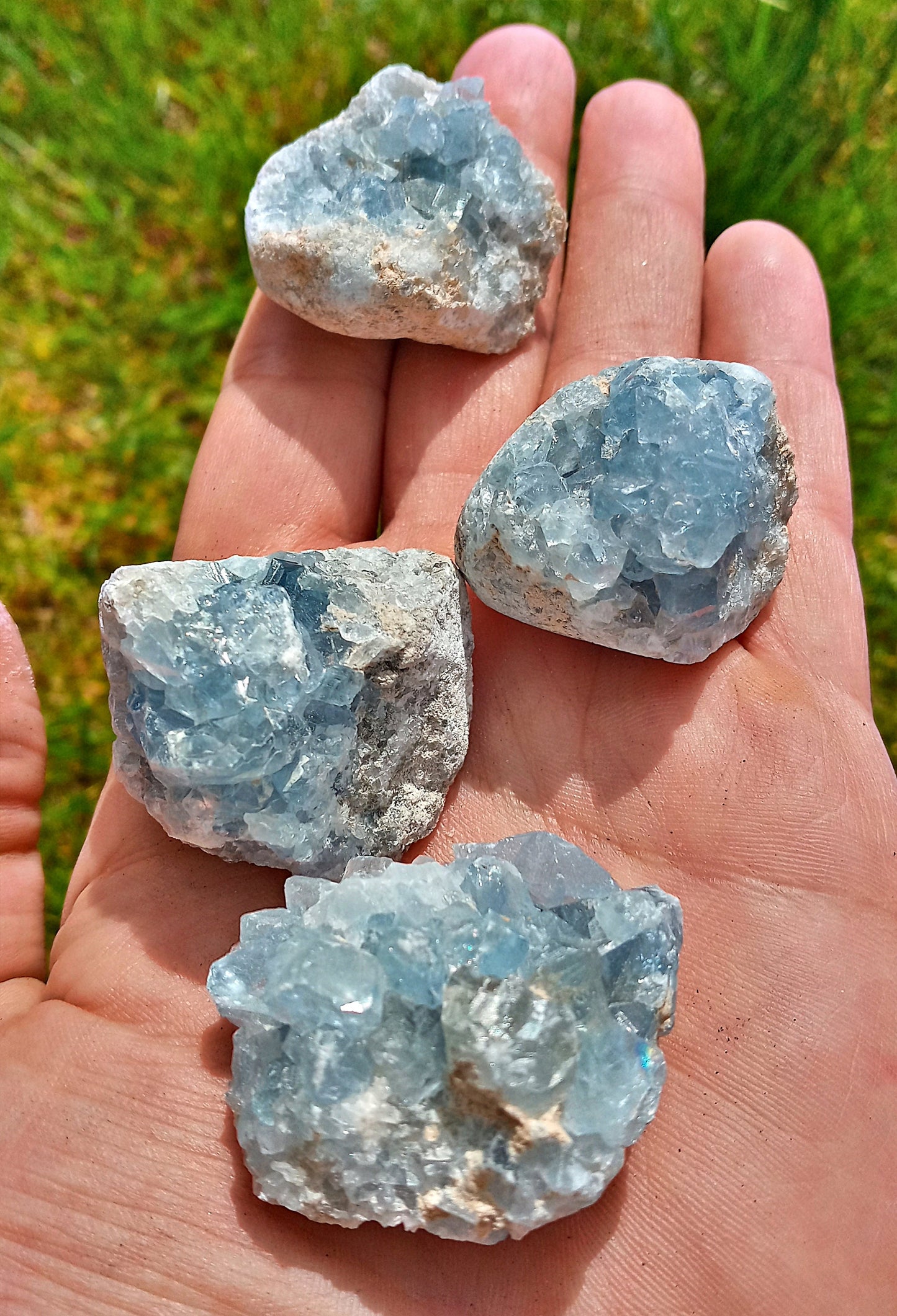 Bulk Celestine Clusters!  Raw Celestite Clusters Choose how Many! Natural Celestine mini clusters!  Crystals, geodes, points!