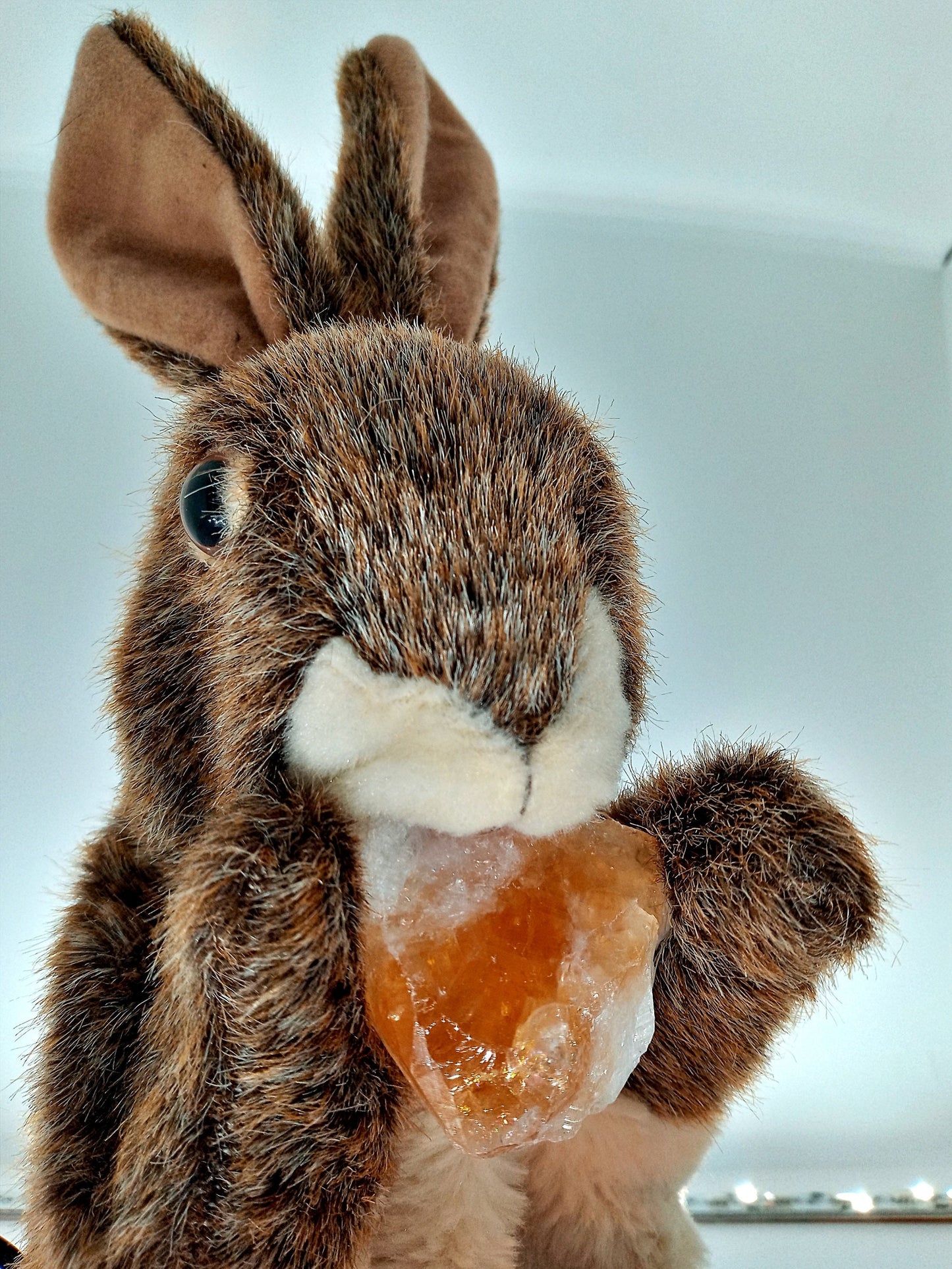 Citrine crystals! Choose from four (4) sizes of Sunny’s quality raw Citrine!  Rough Citrine stones.