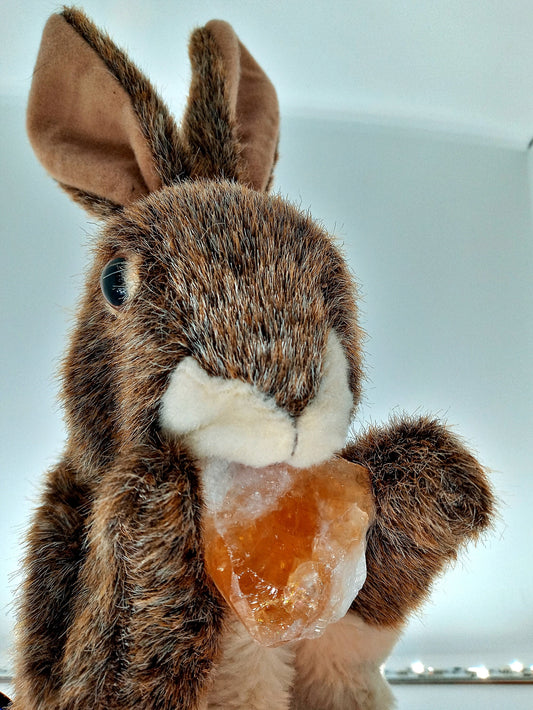 Citrine crystals! Choose from four (4) sizes of Sunny’s quality raw Citrine!  Rough Citrine stones.