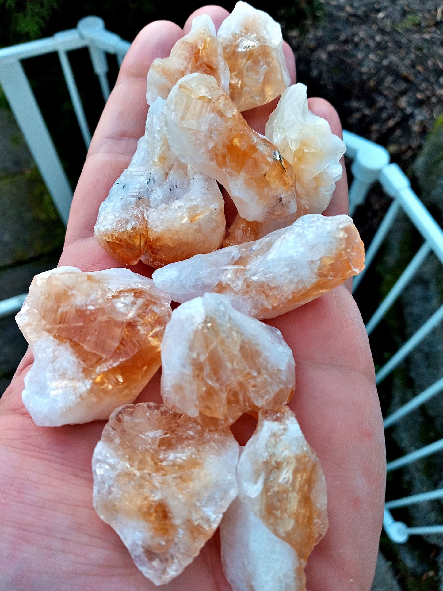 Citrine crystals! Choose from four (4) sizes of Sunny’s quality raw Citrine!  Rough Citrine stones.
