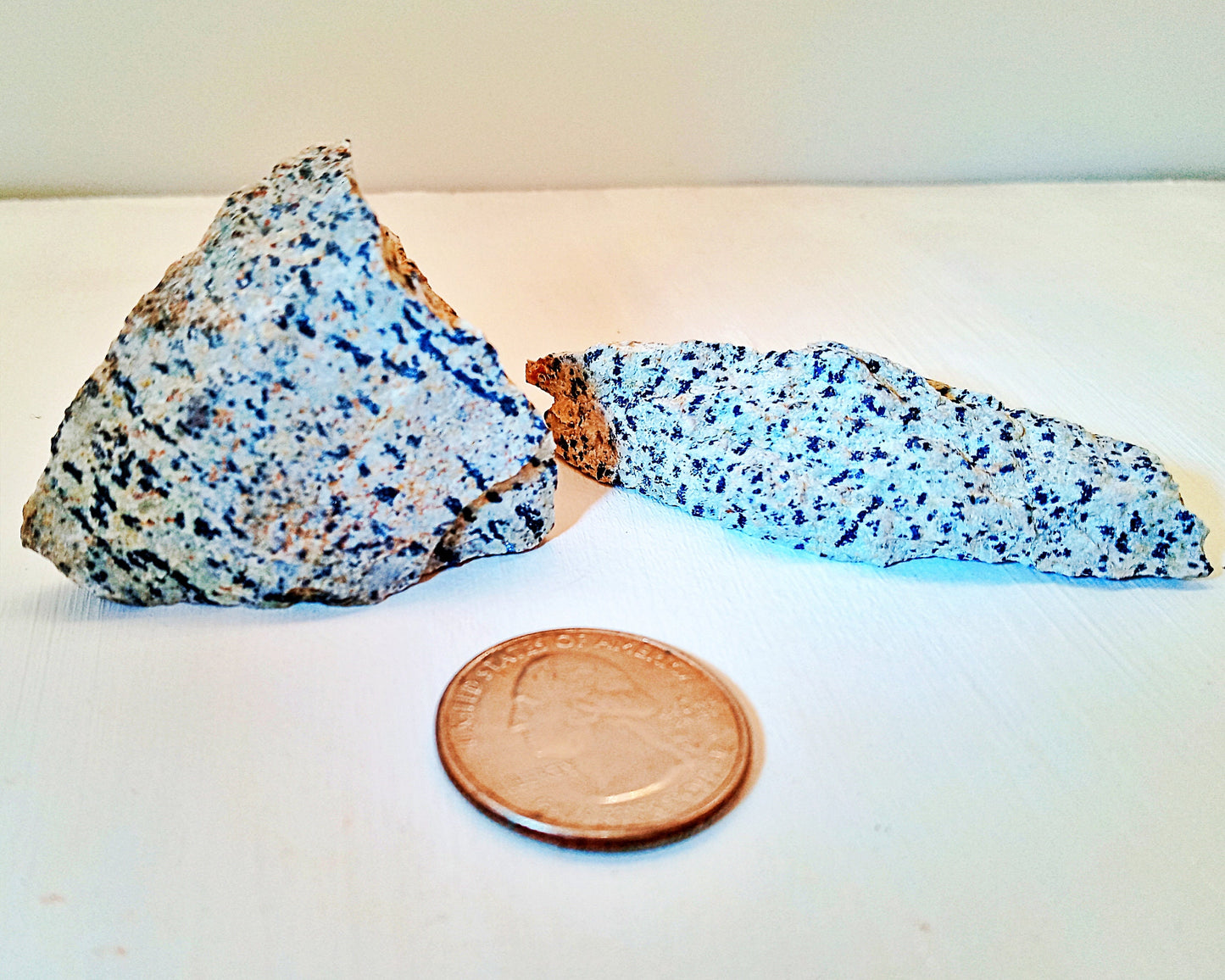 Dalmatian Jasper raw Crystals! Choose from two (2) sizes of quality, all-natural, rough Dalmatian Jasper!  The Dalmatian Stone.