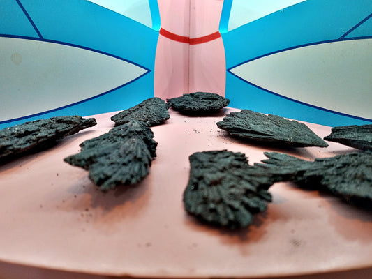 AAA Black Kyanite - Extra-High-Quality Black Kyanite blades and fans! Choose from five (5) sizes of all-natural, raw, XQ Black Kyanite!