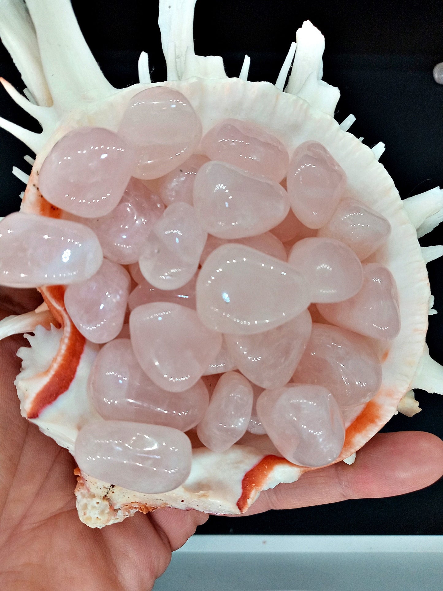 Bulk A-Rose Quartz Crystals!  Choose how Many A-Grade, natural, tumbled High Quality Rose Quartz crystals!   Premium polished Rose Quartz!