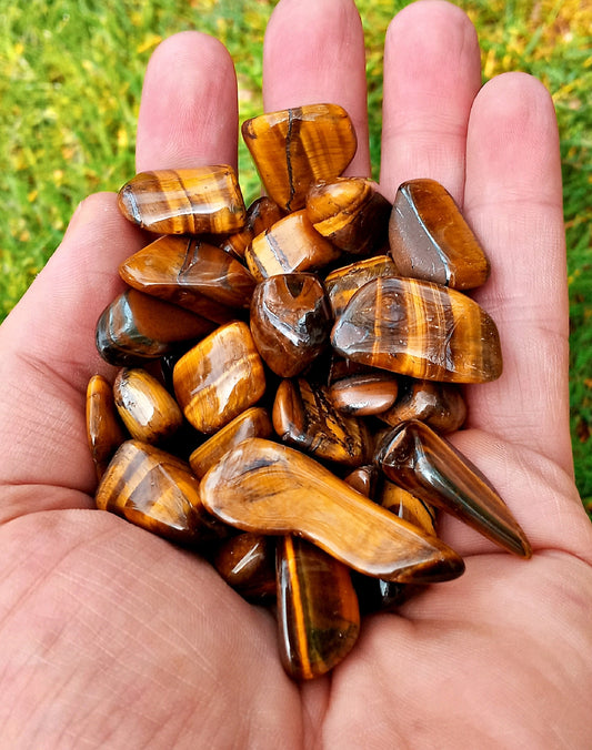 Bulk Golden Tiger Eye Crystals!  Choose how Many Tumbled quality Tigers Eye stones and crystals!  Gold Tigers Eye crystals!