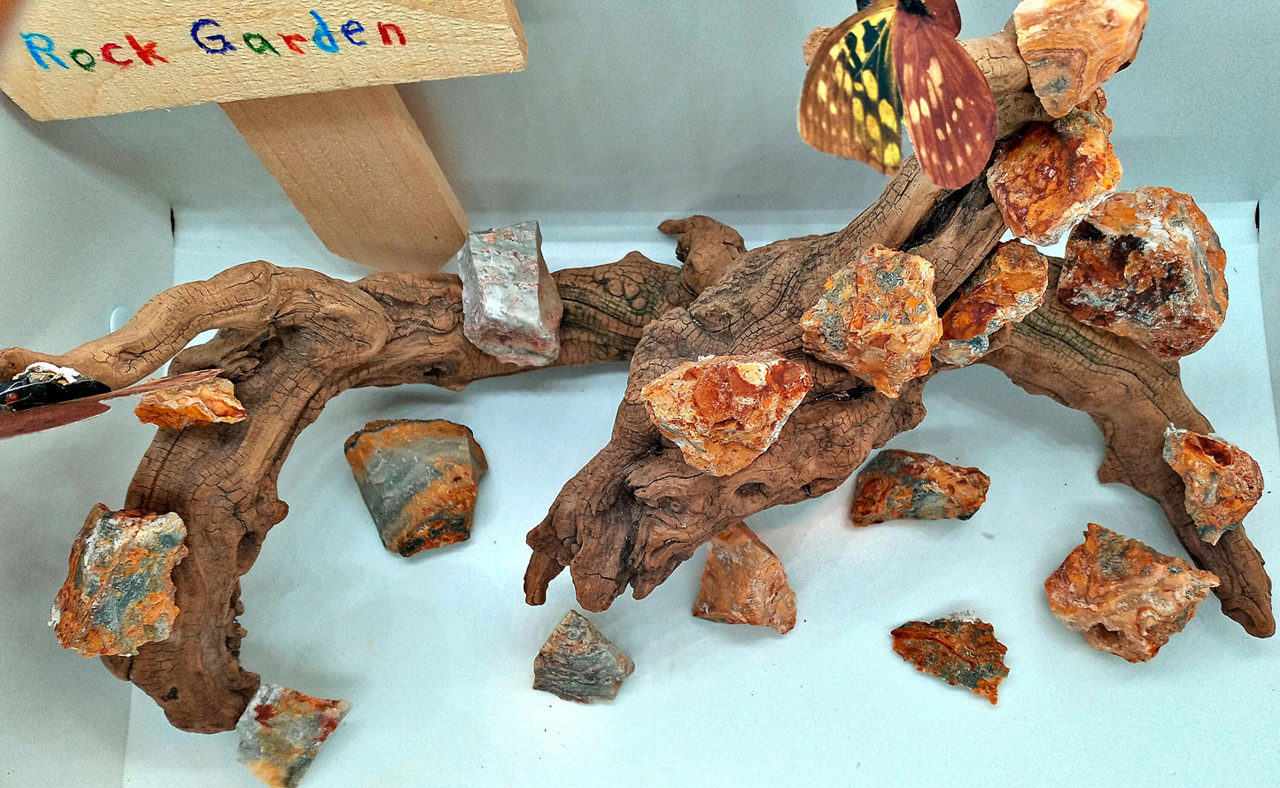 Crazy Lace at Crazy Prices!  Choose from four (4) sizes of rough, raw, natural Crazy Lace Agate crystals and stones!