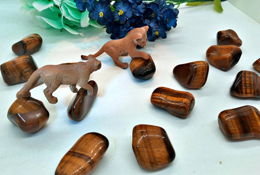 XQ Tigers Eye Crystals!  AAA-Grade, natural, tumbled Extra High Quality Golden Tiger Eye crystals!   Premium Extra Grade polished Tiger Eye!