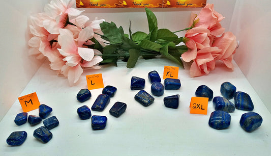 Bulk XQ-Lapis Lazuli Crystals!  Choose How Many AAA-Grade tumbled Extra High Quality Lapis Lazuli crystals.  Polished pocket stones.