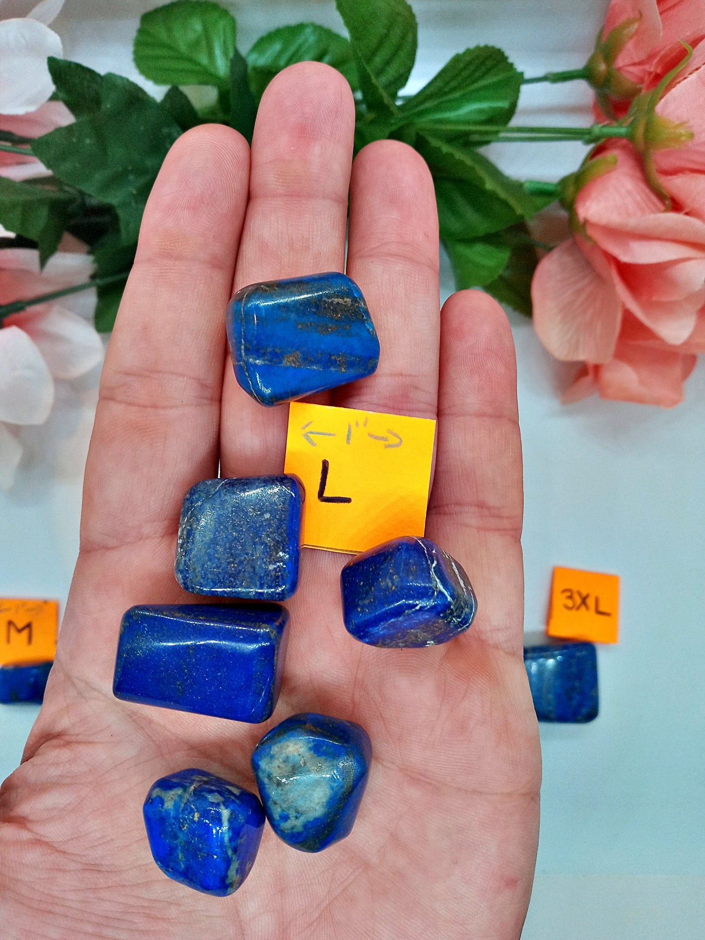 Bulk XQ-Lapis Lazuli Crystals!  Choose How Many AAA-Grade tumbled Extra High Quality Lapis Lazuli crystals.  Polished pocket stones.