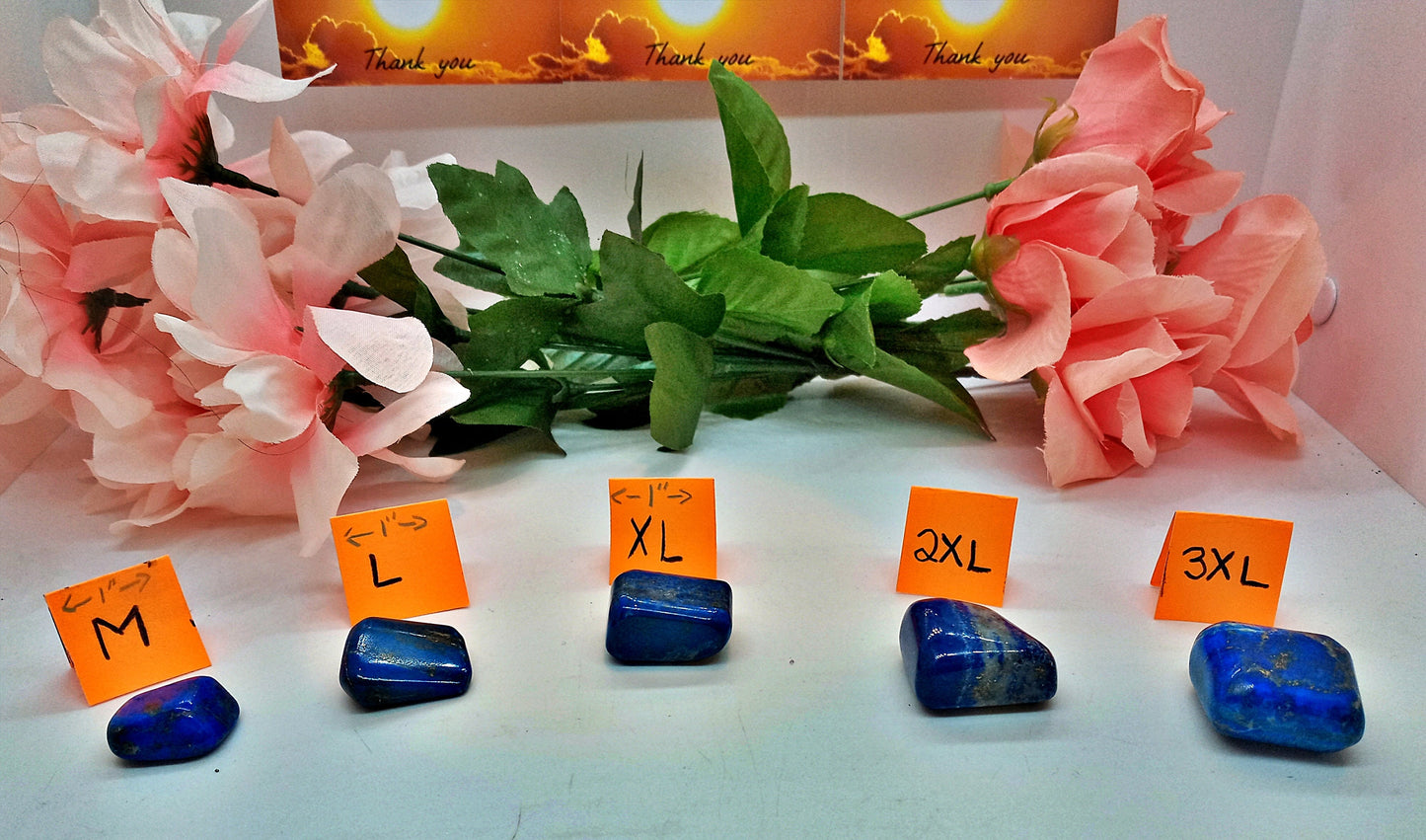 XQ Lapis Lazuli Crystals!  Choose from five (5) sizes of Premium AAA-Grade, all-natural, tumbled Extra High Quality Lapis Lazuli crystals!