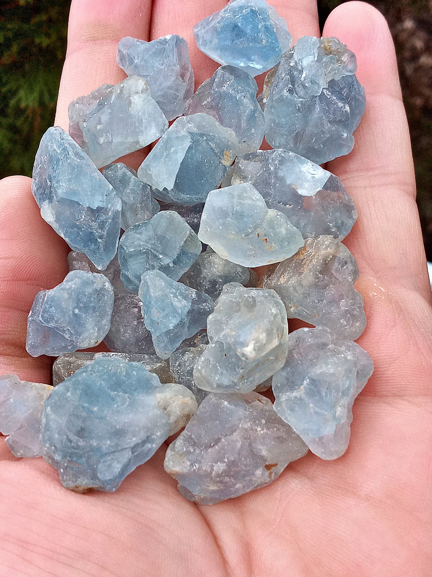 Bulk Celestite! Choose how Many and Save with Sunny’s bulk wholesale pricing! Natural, rough Celestine crystals! Great for tumbling!