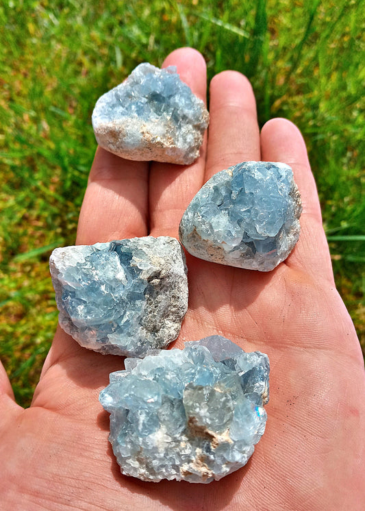 Bulk Celestine Clusters!  Raw Celestite Clusters Choose how Many! Natural Celestine mini clusters!  Crystals, geodes, points!