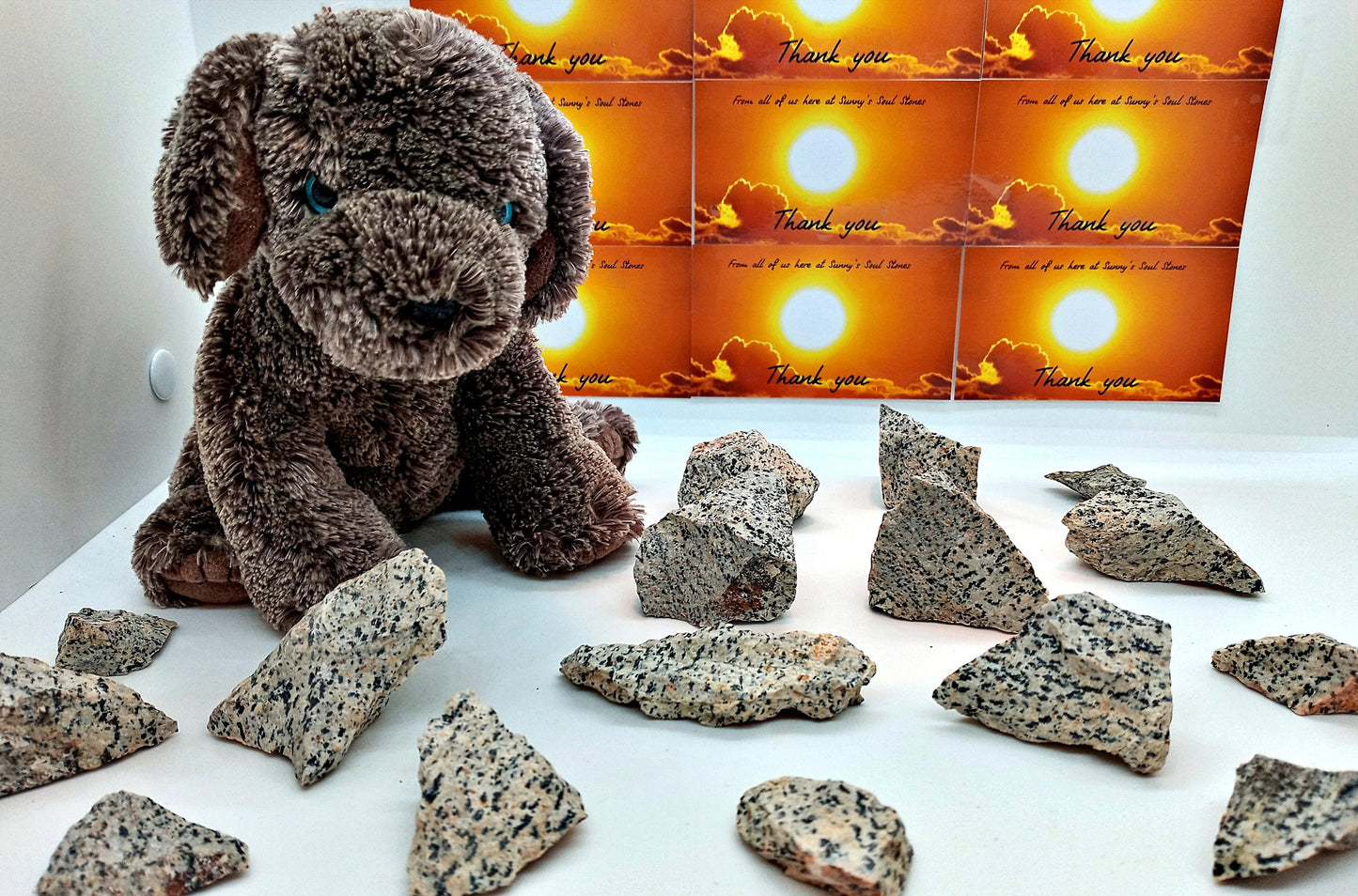 Dalmatian Jasper raw Crystals! Choose from two (2) sizes of quality, all-natural, rough Dalmatian Jasper!  The Dalmatian Stone.