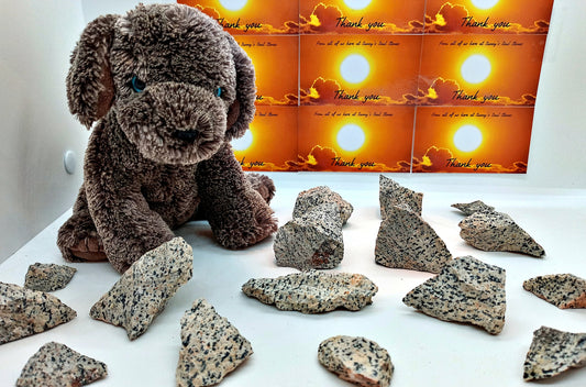 Dalmatian Jasper raw Crystals! Choose from two (2) sizes of quality, all-natural, rough Dalmatian Jasper!  The Dalmatian Stone.