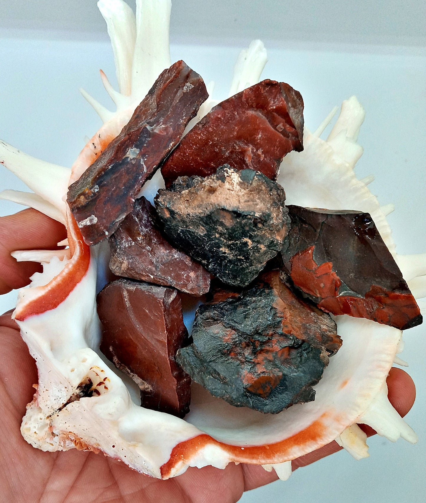 RARE!! Vampire Jasper! Choose from two (2) sizes of quality, all-natural, raw, Vampire aka Yellow Cat Flat Jasper!