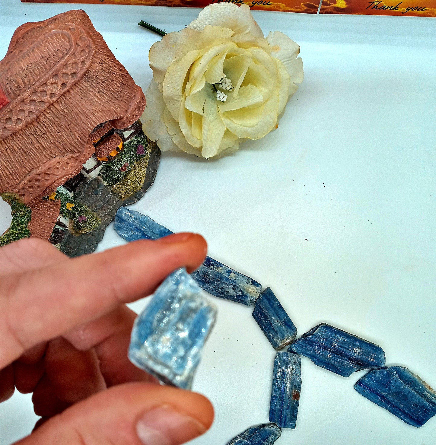 Blue Kyanite Crystals! Choose from three (3) sizes of quality, all-natural, raw, Blue Kyanite blades and fans!