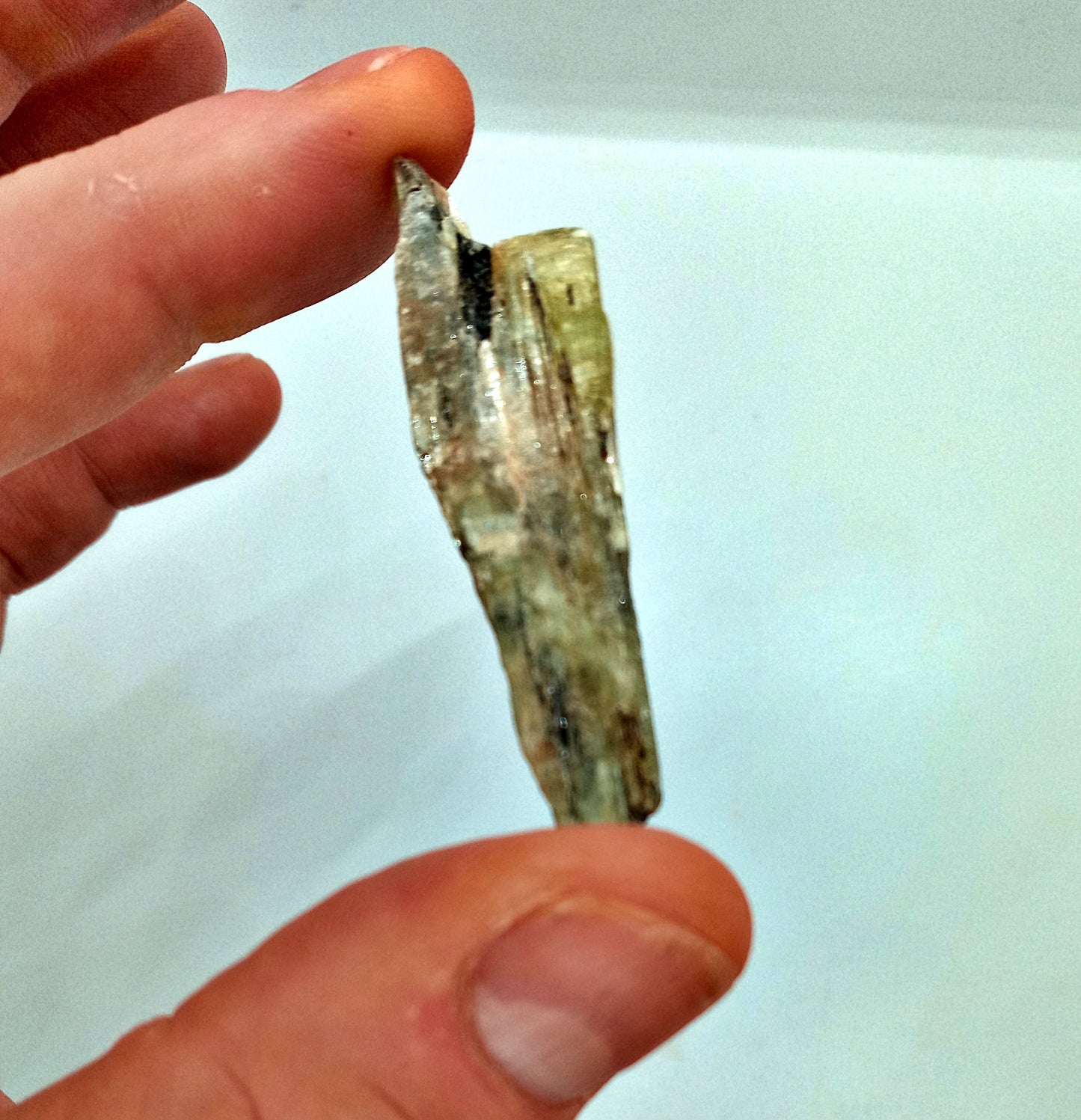 Green Kyanite Crystals!  Choose from two (2) sizes of quality, all-natural, raw, Green Kyanite fans and blades!