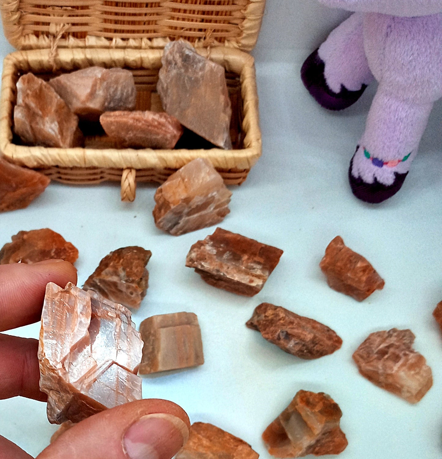 Peach Moonstone! - Choose from five (5) sizes of quality, all-natural, raw, Peach Moonstone stones and crystals!