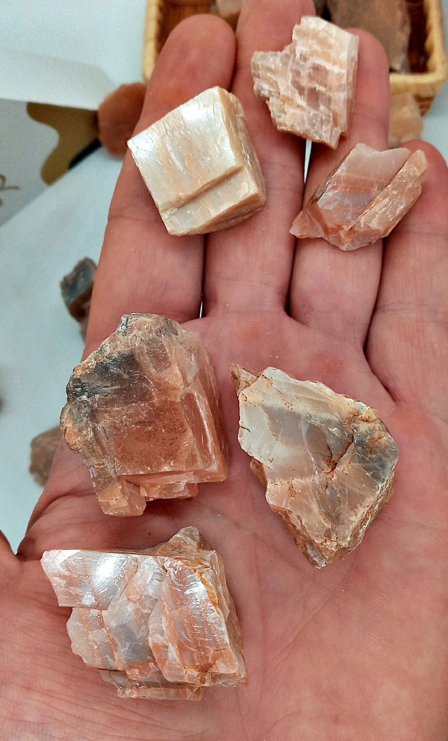 Peach Moonstone! - Choose from five (5) sizes of quality, all-natural, raw, Peach Moonstone stones and crystals!