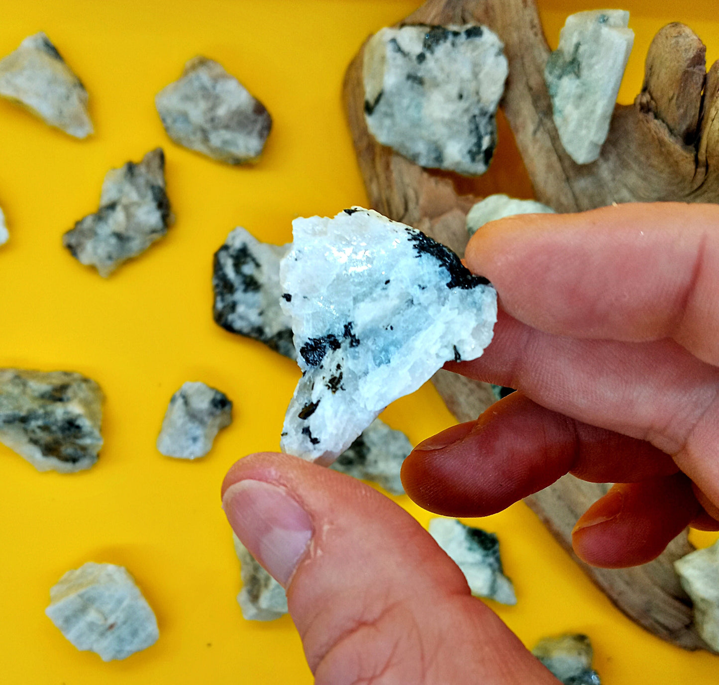 Rainbow Moonstone Chunks! Choose from two (2) sizes of quality, all-natural, raw, Rainbow Moonstone crystals and stones!