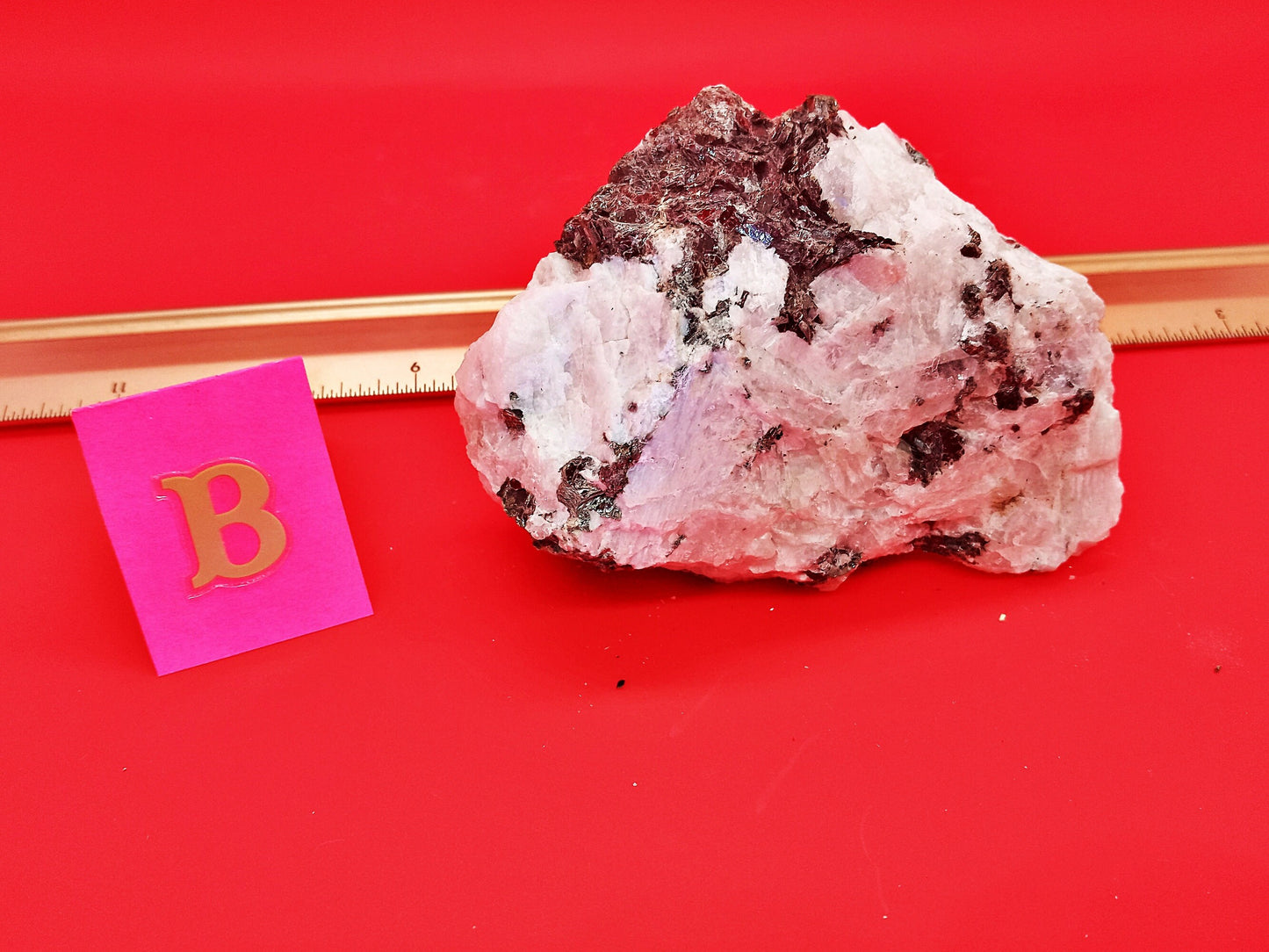 HUGE Rainbow Moonstone! Choose your Own! Choose from five (5) specimens!  All-natural, raw, High Quality Rainbow Moonstone crystals/stones!