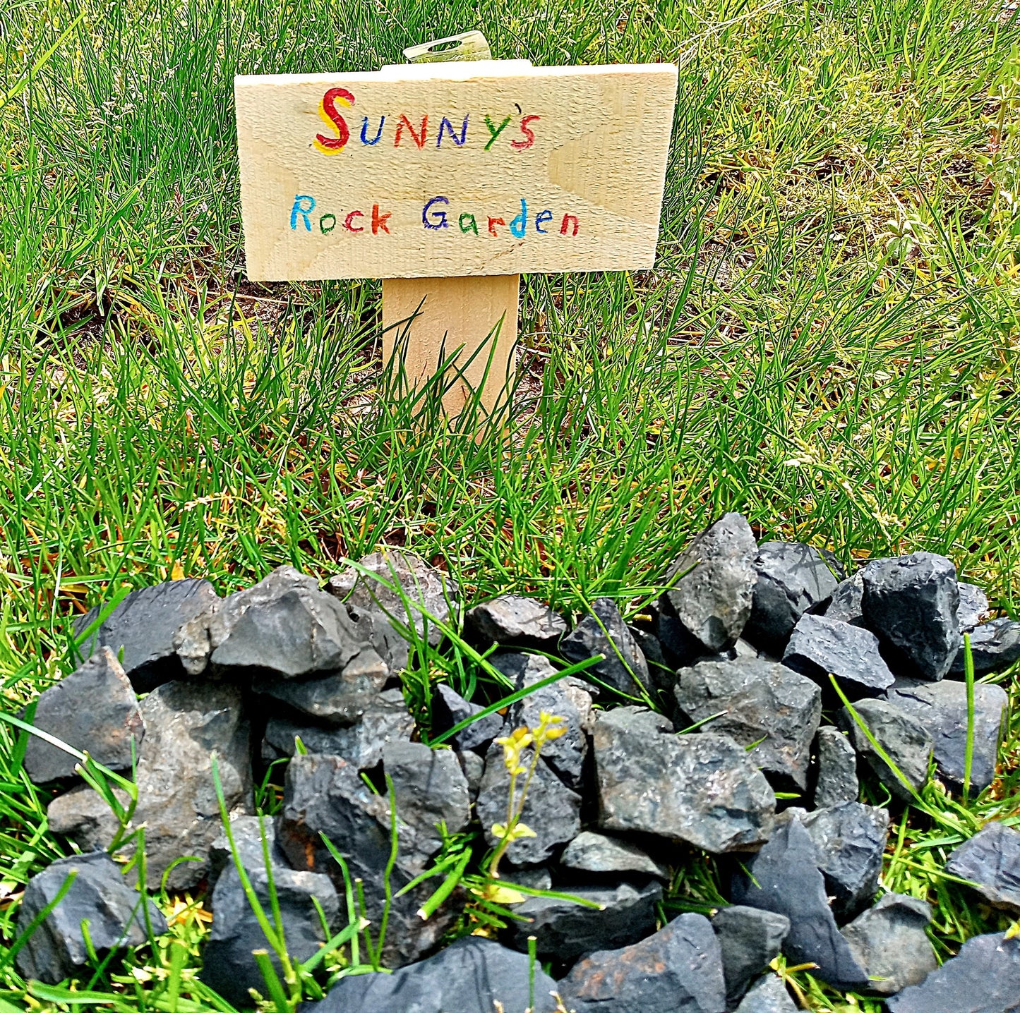 Shungite crystals! EMF Protection! Choose from three (3) sizes of quality, all-natural, raw, Karelian Shungite stones and crystals!