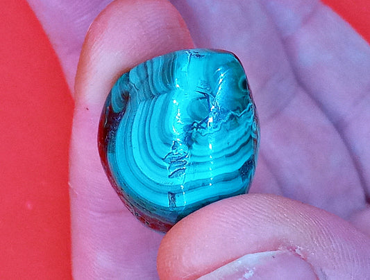 XQ Malachite!  Choose from five (5) sizes of AAA-Grade, natural, tumbled Extra High-Quality Crystals.   Premium Polished pocket stones.