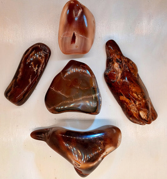 HUGE! Petrified Wood - Choose your Own Tumbled Petrified Wood!  Polished stones and crystals!