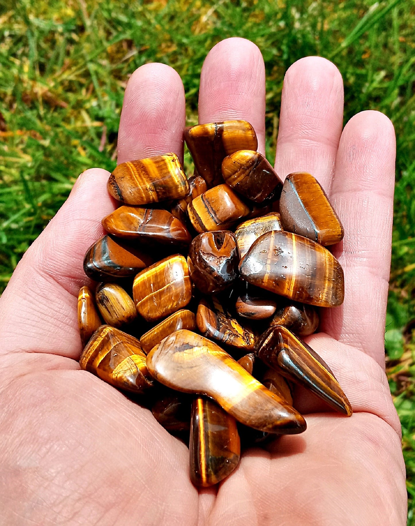 Bulk Golden Tiger Eye Crystals!  Choose how Many Tumbled quality Tigers Eye stones and crystals!  Gold Tigers Eye crystals!
