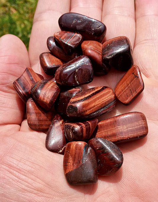 Bulk Red Tiger Eye Crystals!  Choose how Many Tumbled Dragon Eye!  Quality polished Tigers Eye stones and crystals.  Dragons Eye!