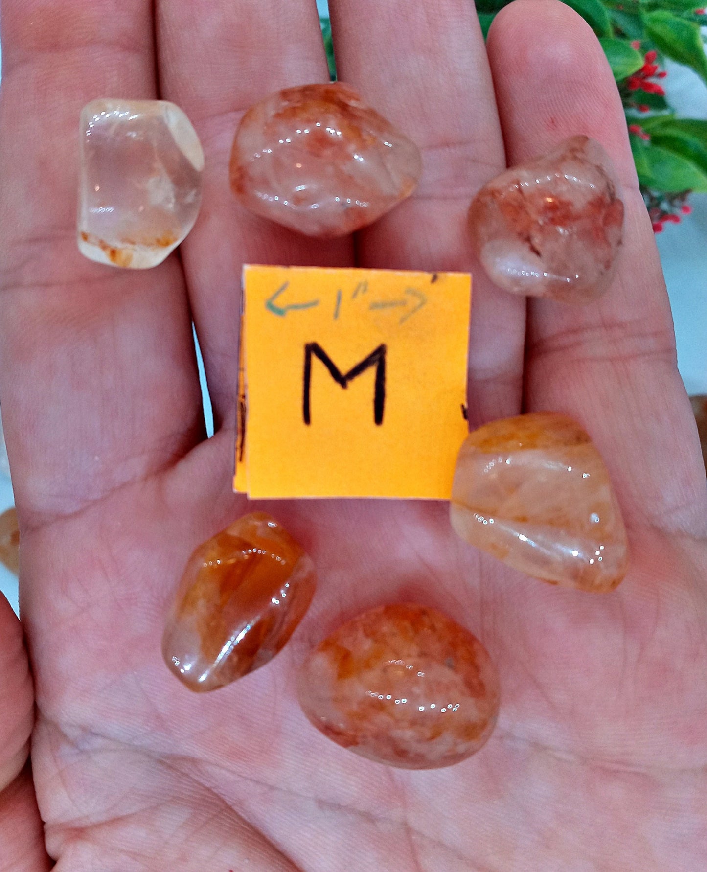 A-Grade Golden Healer Crystals!  A-Grade, natural, tumbled High Quality Golden Healer Quartz crystals!   Premium Golden Healer Quartz!