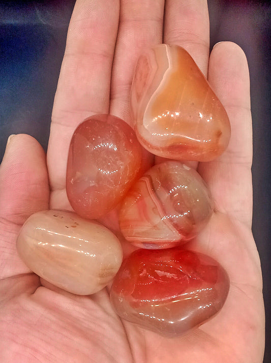A-Grade Red Agate Crystals!  All 1 ounce or more! Choose from three (3) sizes of Tumbled A-Grade High-Quality, natural, Red Agate crystals!